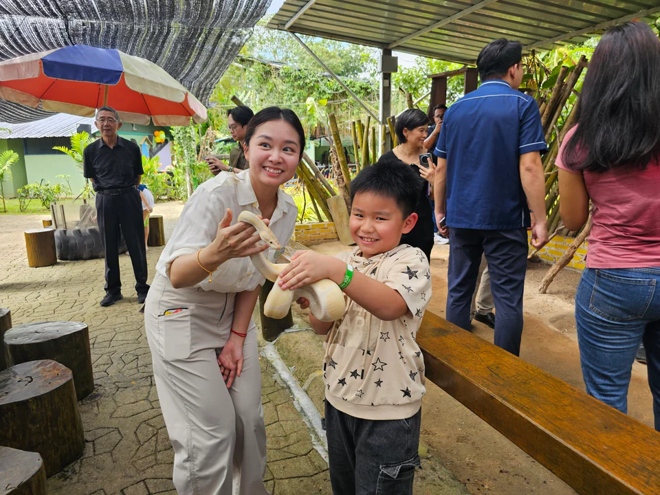 Walters Farm houses various animals, with a young boy excitedly holding a white snake.